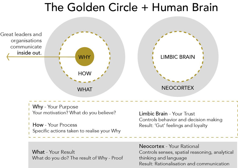 Diagram showing how the why relates to the limbic brain. Full description under summary field labelled Click for full image description.