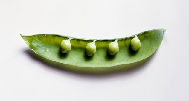 Half a pea pod with four green peas in it, sitting against a white background.