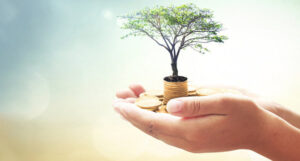 Hands holding tree