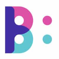 The big picture logo